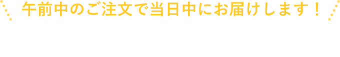 午前中のご注文で当日中にお届けします！一般の方